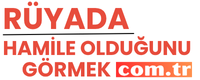 ruyadahamileoldugunugormek.com.tr